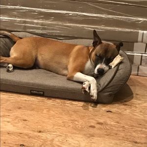 Meet your Posher, Jolene